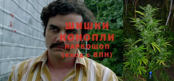 гидра Балабаново