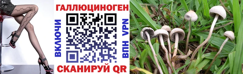 Псилоцибиновые грибы GOLDEN TEACHER  наркота  Вязьма 