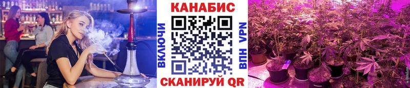 гидра как войти Вязьма Бошки марихуана THC 21%